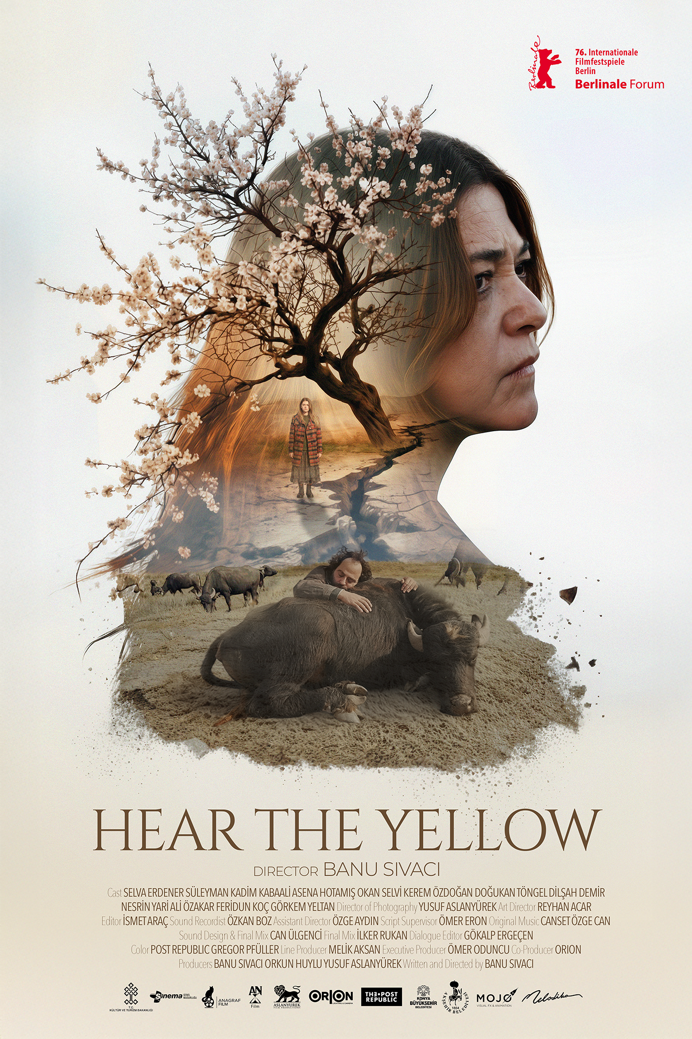 Günyüzü – Hear The Yellow Poster